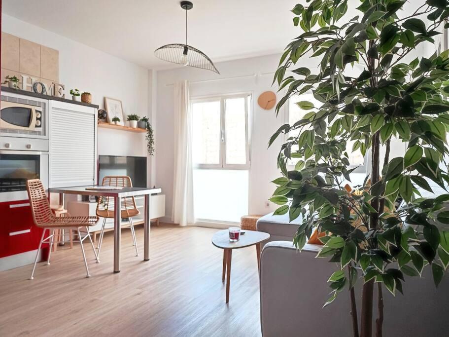 Vacational Dreams Apartment Santa Cruz de Tenerife Luaran gambar